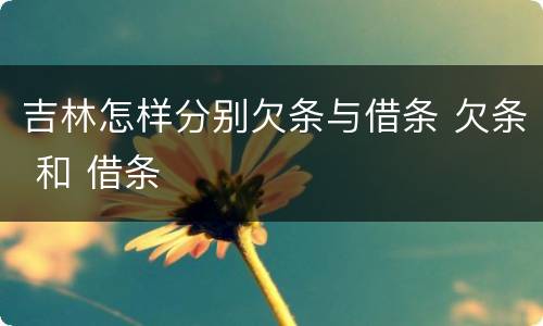 吉林怎样分别欠条与借条 欠条 和 借条