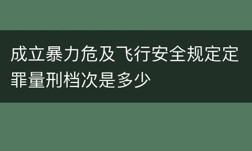 成立暴力危及飞行安全规定定罪量刑档次是多少