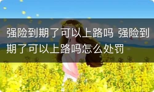 强险到期了可以上路吗 强险到期了可以上路吗怎么处罚