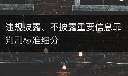 违规披露、不披露重要信息罪判刑标准细分