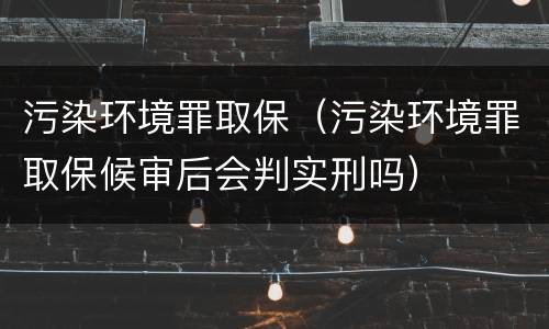 污染环境罪取保（污染环境罪取保候审后会判实刑吗）