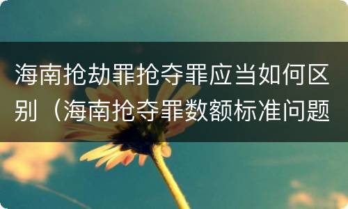 海南抢劫罪抢夺罪应当如何区别（海南抢夺罪数额标准问题的规定）
