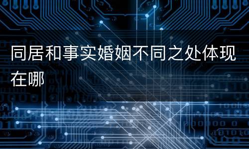 同居和事实婚姻不同之处体现在哪