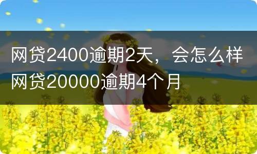 网贷2400逾期2天，会怎么样 网贷20000逾期4个月