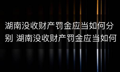 湖南没收财产罚金应当如何分别 湖南没收财产罚金应当如何分别处罚