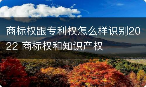 商标权跟专利权怎么样识别2022 商标权和知识产权