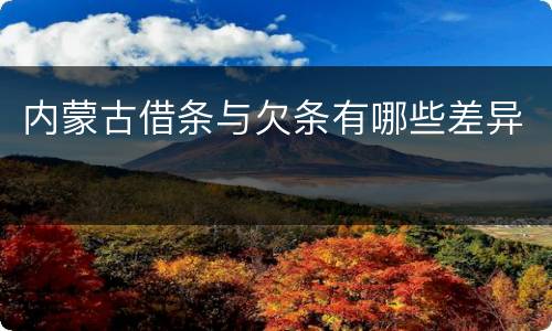 内蒙古借条与欠条有哪些差异