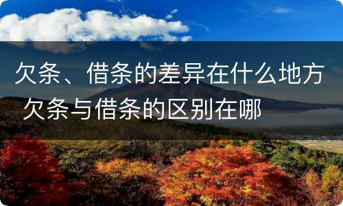欠条、借条的差异在什么地方 欠条与借条的区别在哪