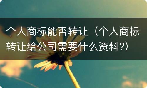 个人商标能否转让（个人商标转让给公司需要什么资料?）