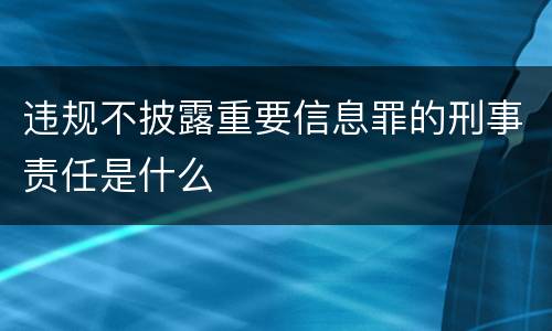 违规不披露重要信息罪的刑事责任是什么