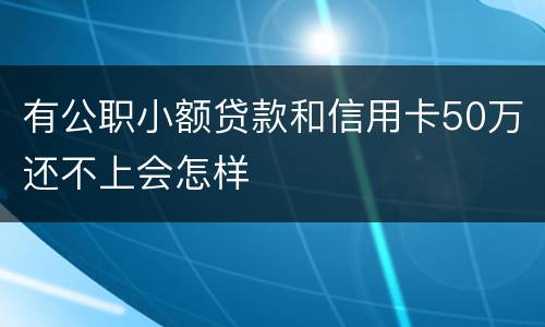 有公职小额贷款和信用卡50万还不上会怎样