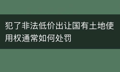 犯了非法低价出让国有土地使用权通常如何处罚
