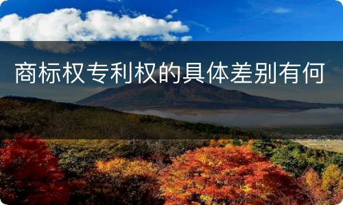商标权专利权的具体差别有何