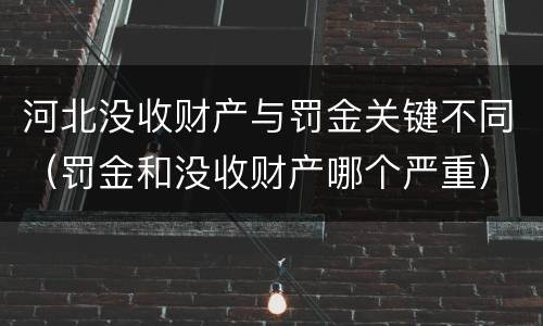河北没收财产与罚金关键不同（罚金和没收财产哪个严重）