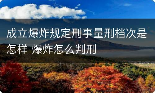 成立爆炸规定刑事量刑档次是怎样 爆炸怎么判刑