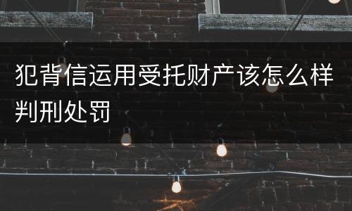 犯背信运用受托财产该怎么样判刑处罚