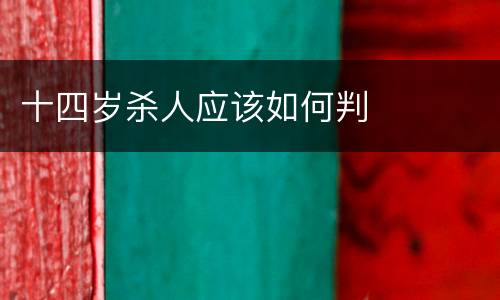 十四岁杀人应该如何判