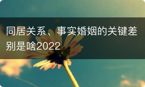 同居关系、事实婚姻的关键差别是啥2022