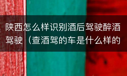 陕西怎么样识别酒后驾驶醉酒驾驶（查酒驾的车是什么样的）