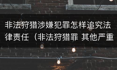 非法狩猎涉嫌犯罪怎样追究法律责任（非法狩猎罪 其他严重情形）