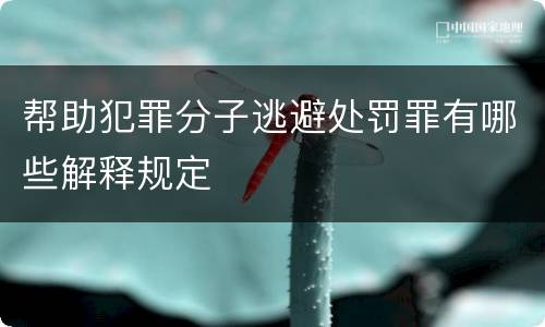 帮助犯罪分子逃避处罚罪有哪些解释规定
