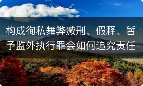 构成徇私舞弊减刑、假释、暂予监外执行罪会如何追究责任
