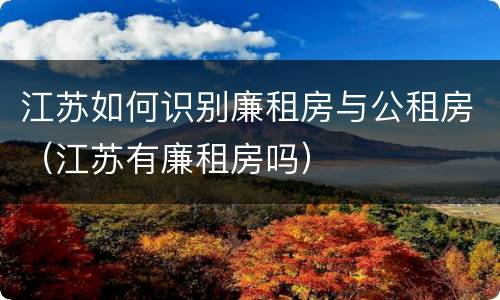 江苏如何识别廉租房与公租房（江苏有廉租房吗）