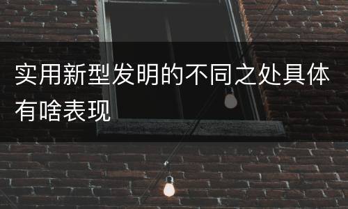 实用新型发明的不同之处具体有啥表现