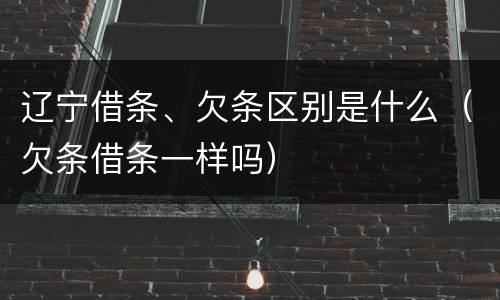 辽宁借条、欠条区别是什么（欠条借条一样吗）