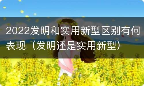 2022发明和实用新型区别有何表现（发明还是实用新型）