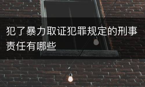犯了暴力取证犯罪规定的刑事责任有哪些