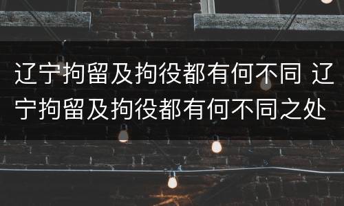 辽宁拘留及拘役都有何不同 辽宁拘留及拘役都有何不同之处