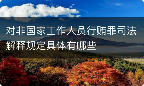 对非国家工作人员行贿罪司法解释规定具体有哪些