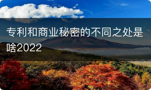 专利和商业秘密的不同之处是啥2022