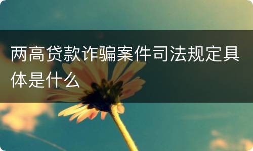 两高贷款诈骗案件司法规定具体是什么