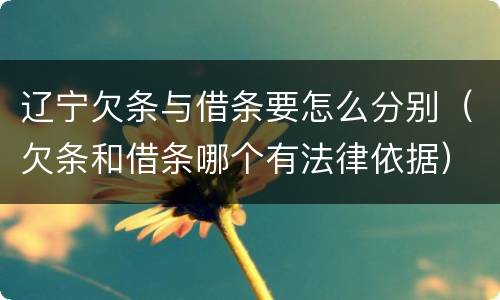 辽宁欠条与借条要怎么分别（欠条和借条哪个有法律依据）