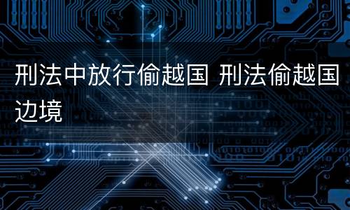 刑法中放行偷越国 刑法偷越国边境
