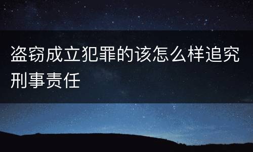 盗窃成立犯罪的该怎么样追究刑事责任