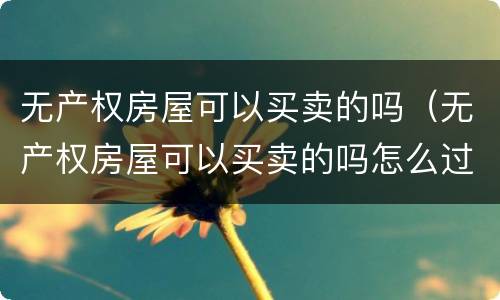 无产权房屋可以买卖的吗（无产权房屋可以买卖的吗怎么过户）