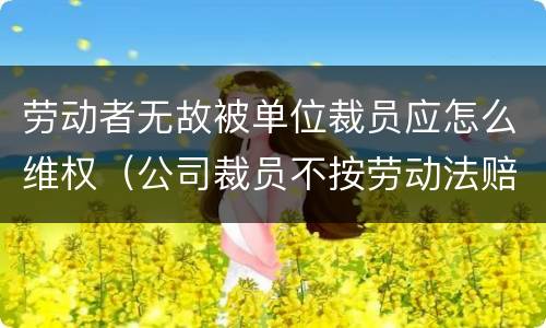 劳动者无故被单位裁员应怎么维权（公司裁员不按劳动法赔偿怎么办）