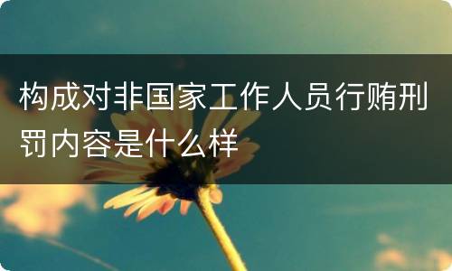 构成对非国家工作人员行贿刑罚内容是什么样