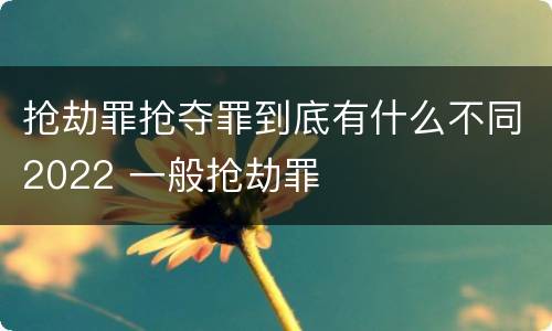 抢劫罪抢夺罪到底有什么不同2022 一般抢劫罪