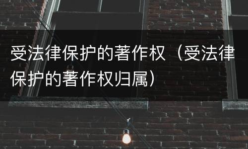 受法律保护的著作权（受法律保护的著作权归属）