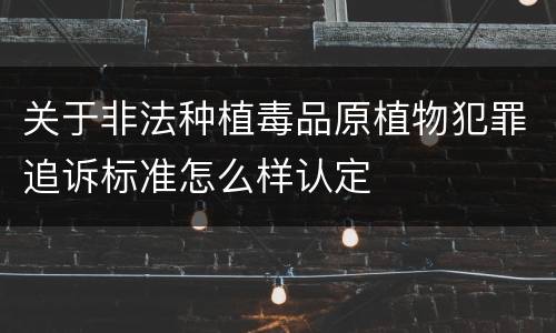 关于非法种植毒品原植物犯罪追诉标准怎么样认定