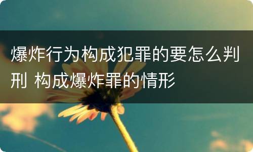 爆炸行为构成犯罪的要怎么判刑 构成爆炸罪的情形