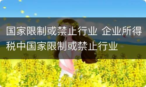 国家限制或禁止行业 企业所得税中国家限制或禁止行业