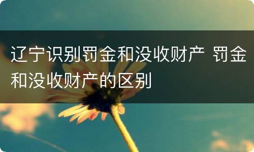 辽宁识别罚金和没收财产 罚金和没收财产的区别