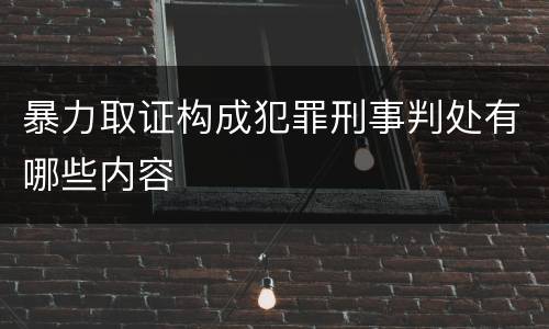 暴力取证构成犯罪刑事判处有哪些内容