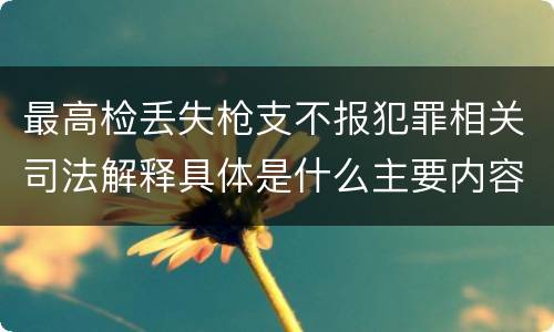 最高检丢失枪支不报犯罪相关司法解释具体是什么主要内容
