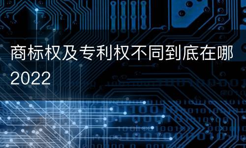 商标权及专利权不同到底在哪2022